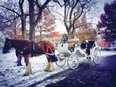 Lafayette Square carriage rides 2018
